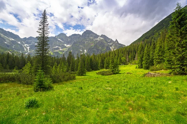 Hermoso paisaje del sendero en las montañas de Tatra — Foto de Stock