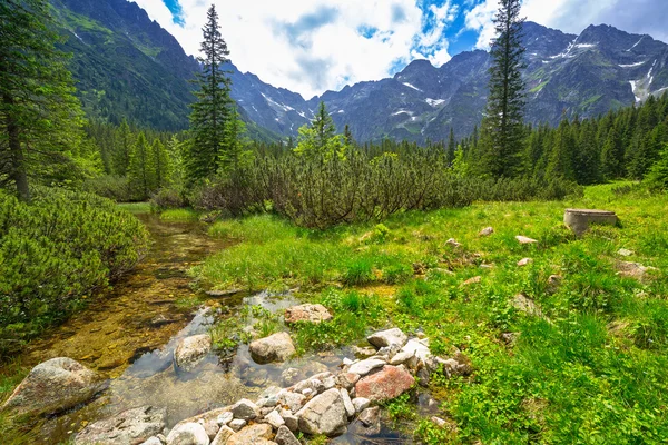 Beautiful scenery of the trail in Tatra mountains — Stock Photo, Image