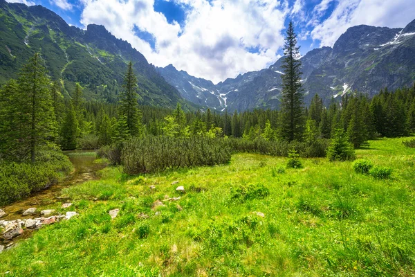 Hermoso paisaje del sendero en las montañas de Tatra — Foto de Stock