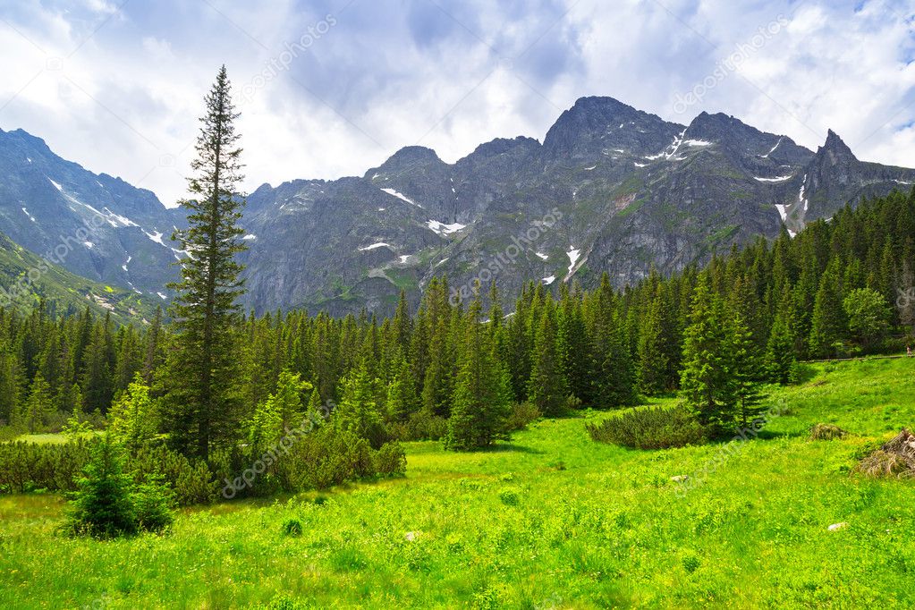 Beautiful scenery of the trail in Tatra mountains