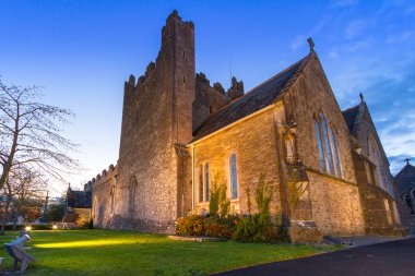 Kutsal Trinity Abbey kilisesini Adare otelleri