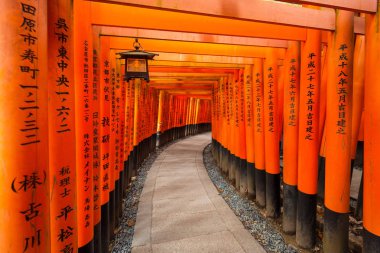 Torii kapılarında Fushimi Inari tapınak Kyoto binlerce