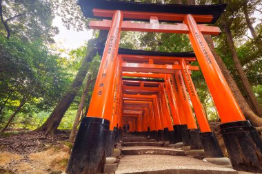 Torii kapılarında Fushimi Inari tapınak Kyoto binlerce