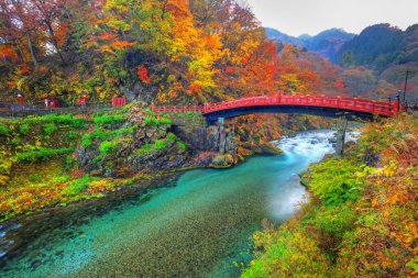 Sonbahar sırasında Shinkyo Bridge'de Nikko