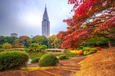 Tokyo Shinjuku Parkı sonbaharda
