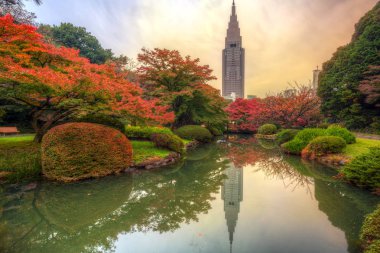 Tokyo Shinjuku Parkı sonbaharda