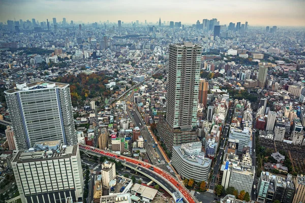 Luchtfoto van Tokyo metropolis van de 60ste verdieping van Sunshine stad wolkenkrabber, Ikebukuro — Stockfoto