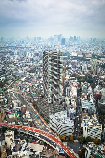 Letecký pohled na metropole Tokio z 60 patra Sunshine city mrakodrap, Ikebukuro — Stock fotografie