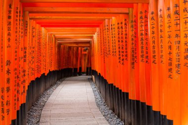 Torii kapılarında Fushimi Inari tapınak Kyoto