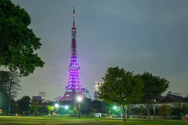 Torre iluminada de Tóquio no parque outonal à noite — Fotografia de Stock