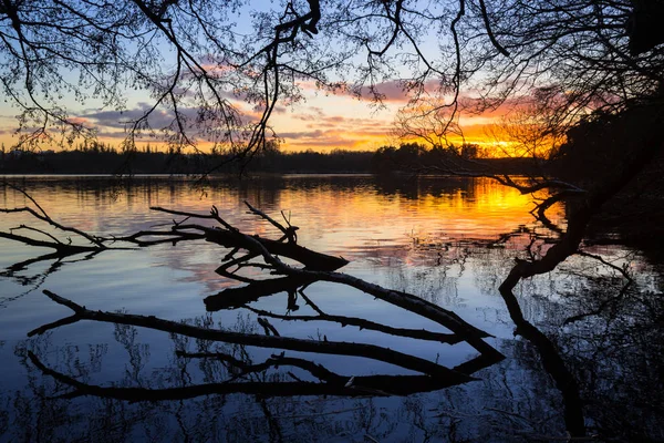Západ slunce u jezera v zimě — Stock fotografie