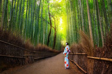 Bambu ormanı Arashiyama, Japonya