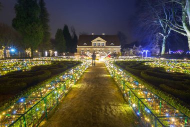 Parkta güzel Noel aydınlatma 