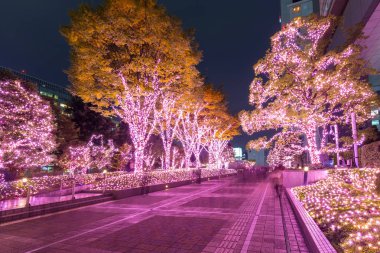 Tokyo, Shinjuku bölgesinde kış aydınlatma