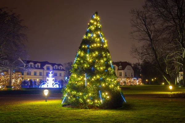 Bela árvore de Natal iluminada no parque — Fotografia de Stock