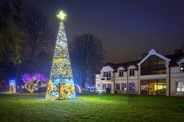 Bela árvore de Natal iluminada no parque — Fotografia de Stock