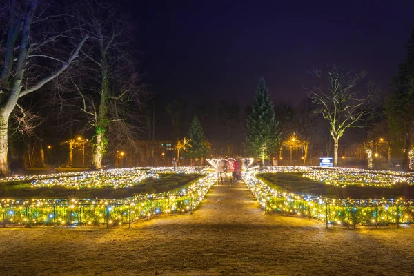 Schöne Weihnachtsbeleuchtung im Park — Stockfoto