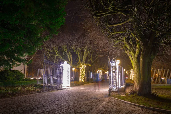 Vackra jul belysning vid parken — Stockfoto