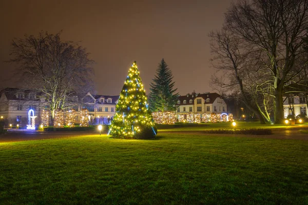 Bela árvore de Natal iluminada no parque — Fotografia de Stock