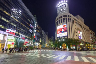 Tokyo, Japonya 'nın Shibuya bölgesinde yaya geçidi