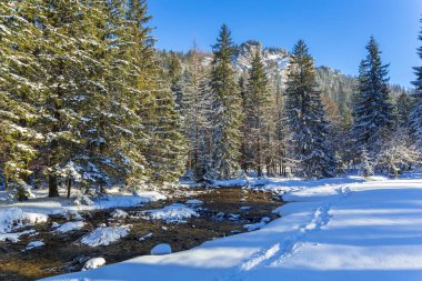 Tatra Dağları'nın karlı kış, güzel sahne