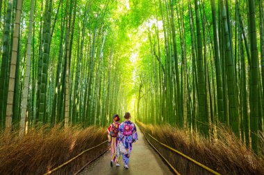 Arashiyama bambu orman sahne