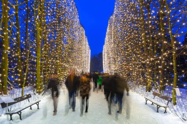 Kamu Parkı Gdansk adlı güzel aydınlatma