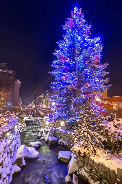 美丽的圣诞树在扎科帕内的 Krupowki 街 — 图库照片