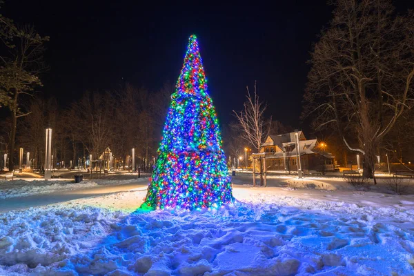 Schöner weihnachtsbaum im park von zakopane — Stockfoto