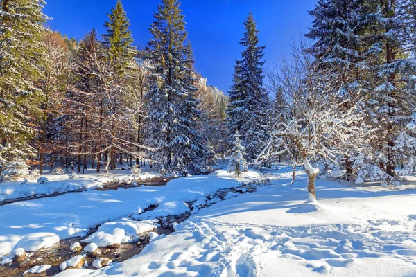 Bellissimo scenario delle montagne Tatra in inverno nevoso — Foto Stock