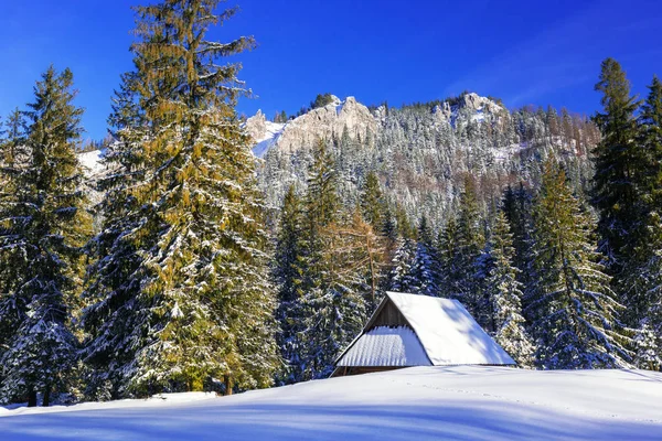 Beautiful scenery of Tatra mountains at snowy winter — Stock Photo, Image