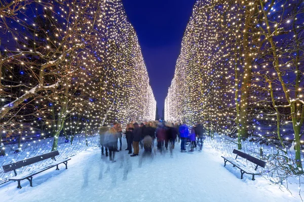 Красивое освещение в общественном парке Гданьска — стоковое фото