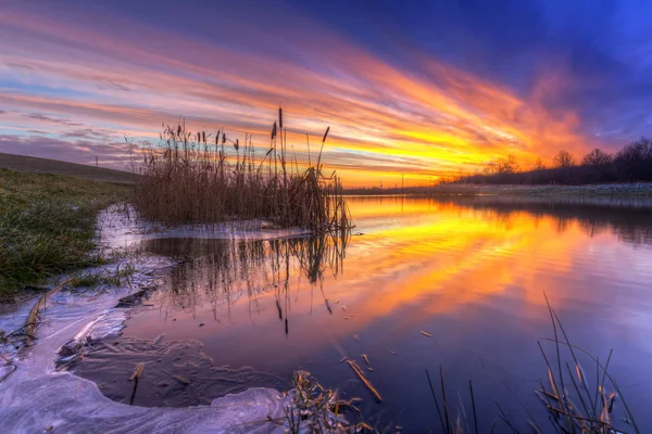 Vinter soluppgång vid dammen — Stockfoto