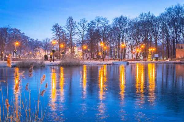 Paesaggio invernale del parco a Trzebnica — Foto Stock