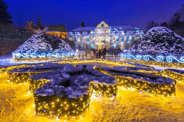 Hermosa iluminación de invierno en el Parque Oliwski en Gdansk, Polonia — Foto de Stock