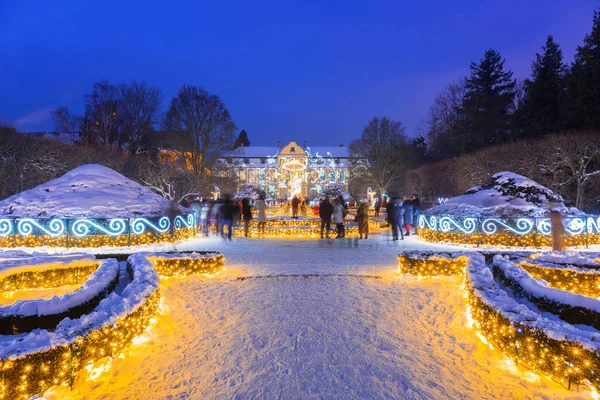 Beautiful winter illumination at the Park Oliwski in Gdansk, Poland — Stock Photo, Image