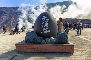 Japonya 'daki Owakudani volkanik vadisinde turistler