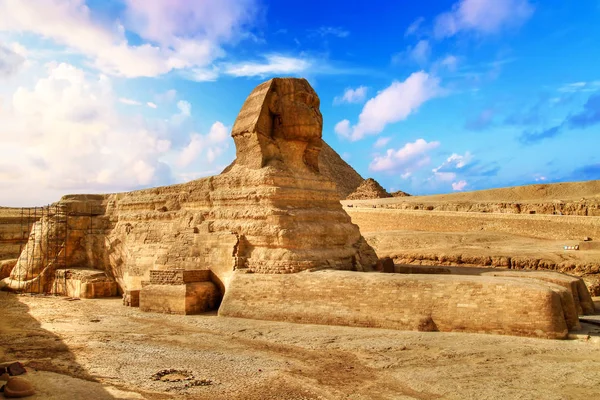 Sphinx égyptien à Gizeh — Photo