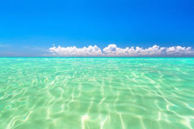 Karayip Denizi Playa del Carmen