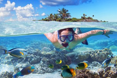 Snorkeling in the tropical water clipart