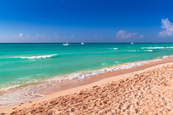 Praia no mar do Caribe em Playa del Carmen — Fotografia de Stock