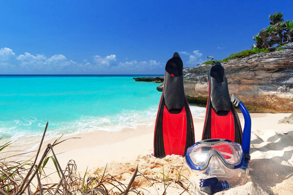 Snorkeling mask and fins