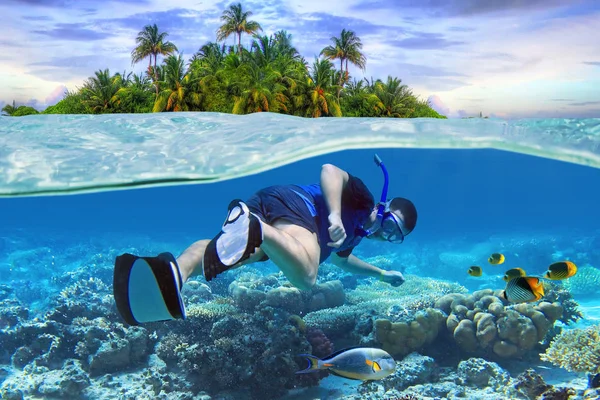 Snorkelen in het tropische water — Stockfoto
