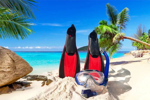 Snorkelen masker en vinnen — Stockfoto