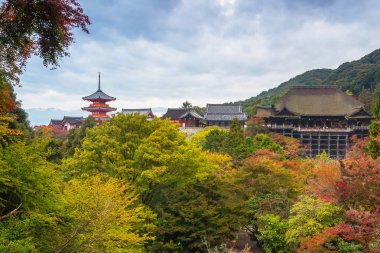 Kiyomizu-Dera Budist tapınağı: Kyoto, Japan