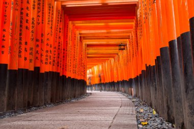 Torii gates Fushimi Inari Taisha Tapınak, Kyoto de binlerce