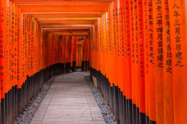 Torii gates Fushimi Inari Taisha Tapınak, Kyoto de binlerce