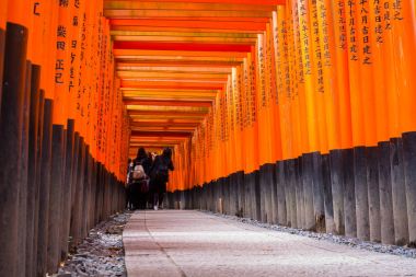 Torii gates Fushimi Inari Taisha Tapınak, Kyoto de binlerce