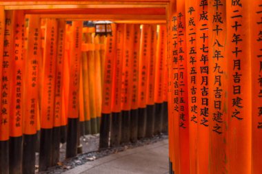 Torii gates Fushimi Inari Taisha Tapınak, Kyoto de binlerce