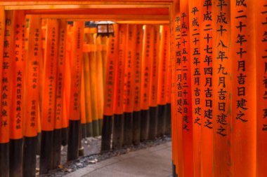 Thousands of torii gates in the Fushimi Inari Taisha Shrine, Kyoto clipart